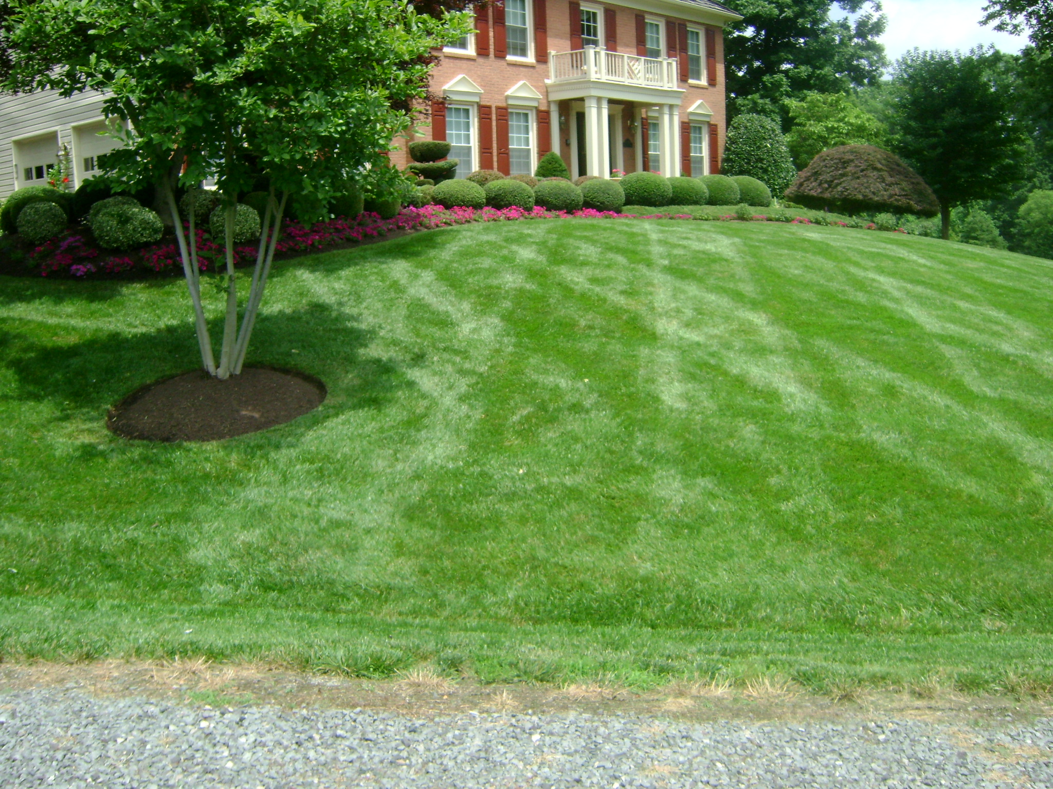 Lawn Care